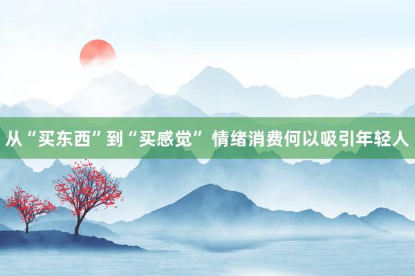 从“买东西”到“买感觉” 情绪消费何以吸引年轻人