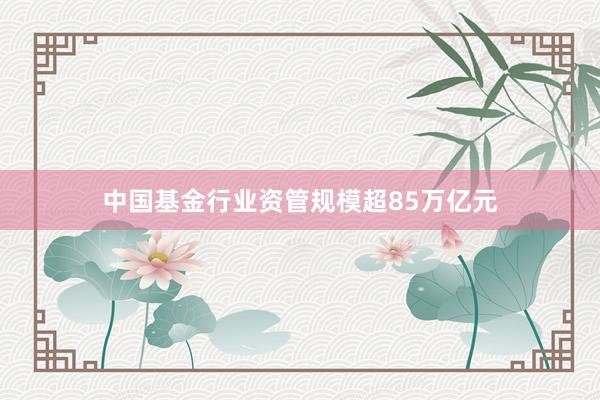 中国基金行业资管规模超85万亿元