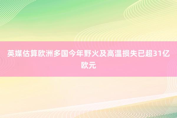 英媒估算欧洲多国今年野火及高温损失已超31亿欧元