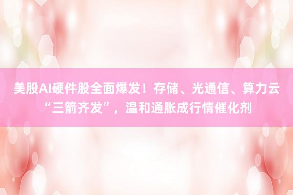 美股AI硬件股全面爆发！存储、光通信、算力云“三箭齐发”，温和通胀成行情催化剂