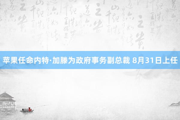 苹果任命内特·加滕为政府事务副总裁 8月31日上任