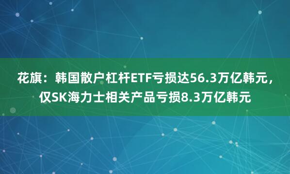 花旗：韩国散户杠杆ETF亏损达56.3万亿韩元，仅SK海力士相关产品亏损8.3万亿韩元