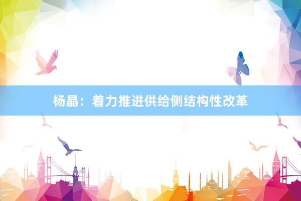 杨晶：着力推进供给侧结构性改革