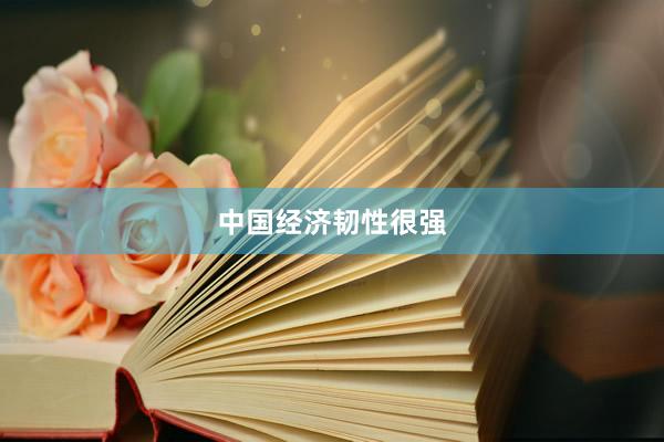 中国经济韧性很强