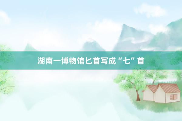 湖南一博物馆匕首写成“七”首