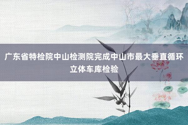 广东省特检院中山检测院完成中山市最大垂直循环立体车库检验