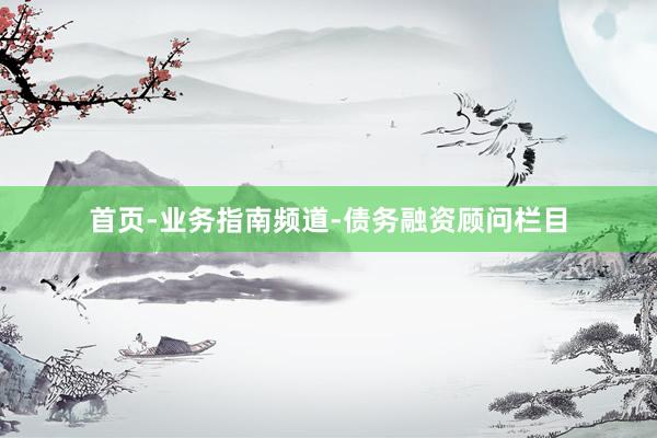 首页-业务指南频道-债务融资顾问栏目