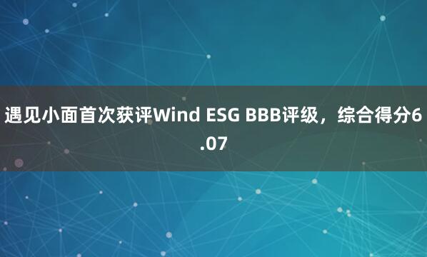 遇见小面首次获评Wind ESG BBB评级，综合得分6.07
