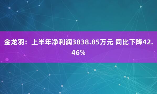 金龙羽：上半年净利润3838.85万元 同比下降42.46%