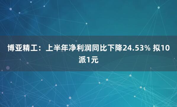 博亚精工：上半年净利润同比下降24.53% 拟10派1元