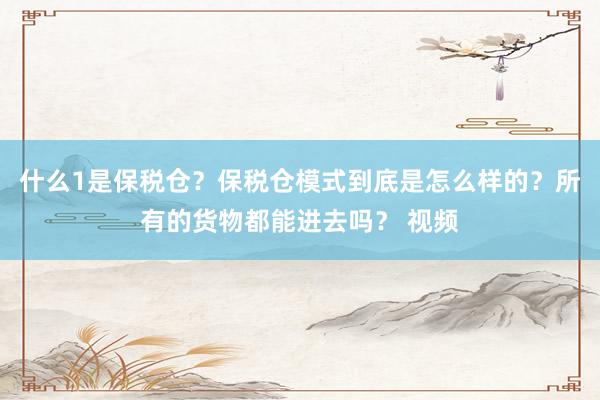 什么1是保税仓？保税仓模式到底是怎么样的？所有的货物都能进去吗？ 视频