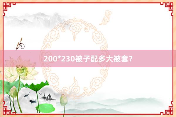 200*230被子配多大被套？