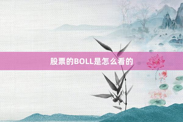 股票的BOLL是怎么看的