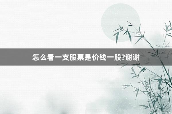 怎么看一支股票是价钱一股?谢谢