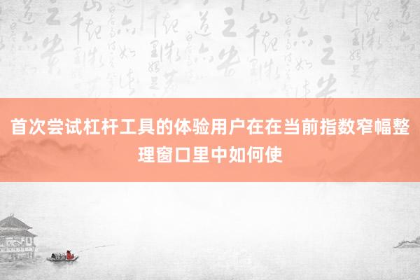 首次尝试杠杆工具的体验用户在在当前指数窄幅整理窗口里中如何使