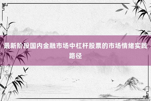 最新阶段国内金融市场中杠杆股票的市场情绪实践路径