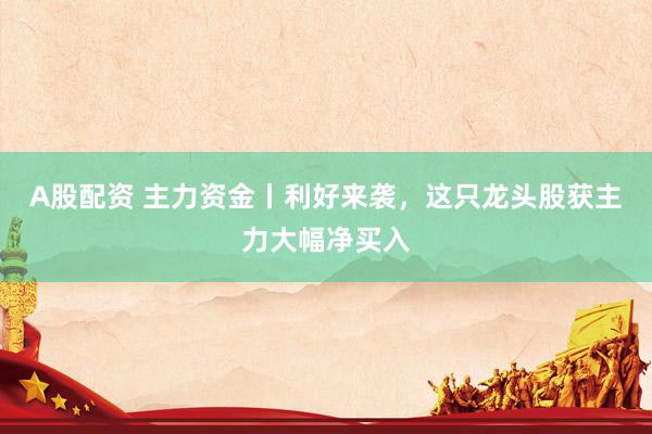 A股配资 主力资金丨利好来袭，这只龙头股获主力大幅净买入