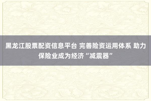 黑龙江股票配资信息平台 完善险资运用体系 助力保险业成为经济“减震器”
