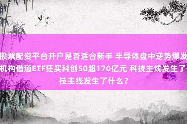 股票配资平台开户是否适合新手 半导体盘中逆势爆发 主力机构借道ETF狂买科创50超170亿元 科技主线发生了什么？