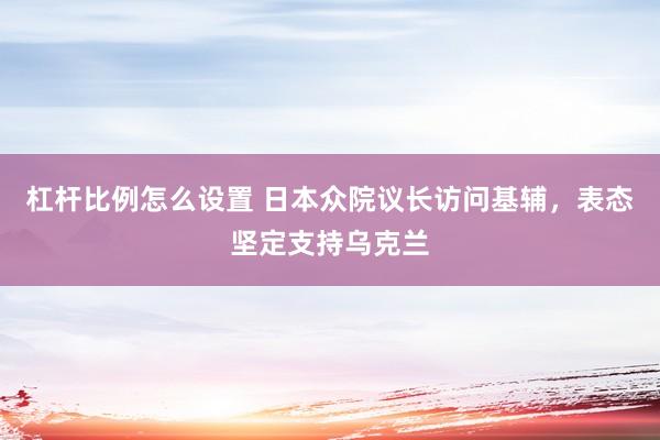 杠杆比例怎么设置 日本众院议长访问基辅，表态坚定支持乌克兰