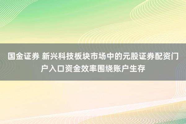 国金证券 新兴科技板块市场中的元股证券配资门户入口资金效率围绕账户生存