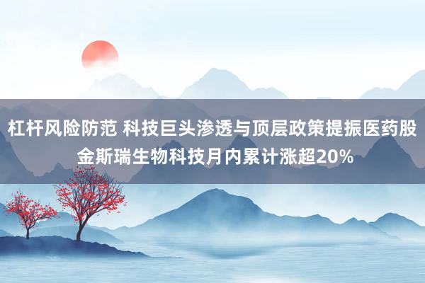 杠杆风险防范 科技巨头渗透与顶层政策提振医药股 金斯瑞生物科技月内累计涨超20%