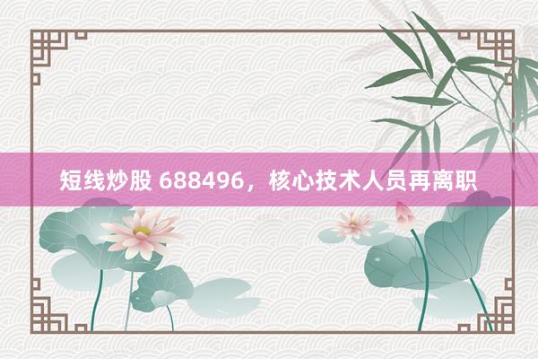 短线炒股 688496,核心技术人员再离职